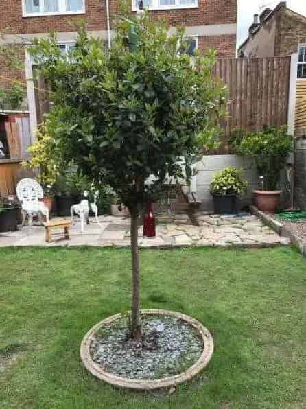 3 Bed Flat Swap: Victorian House with Garden