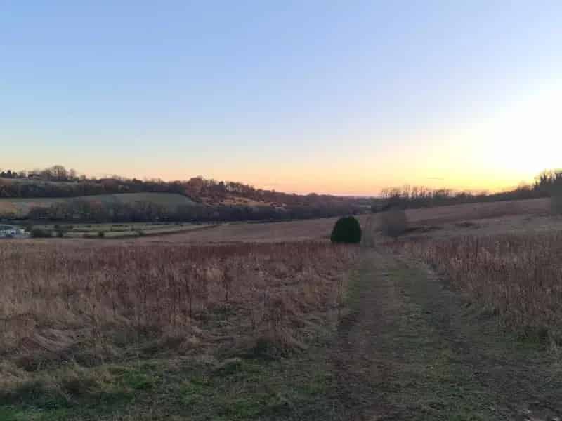 Agricultural Land for Sale in Horndean Havant