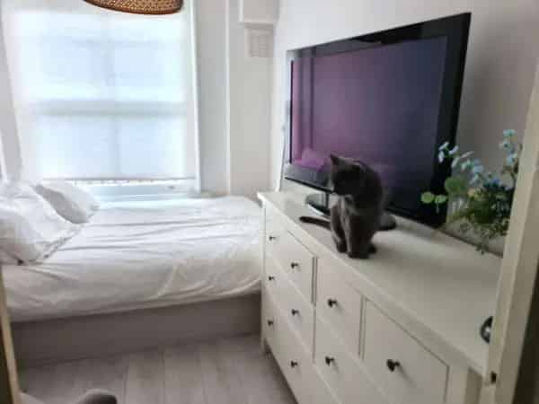 2 Bedroom Basement Flat with Garden