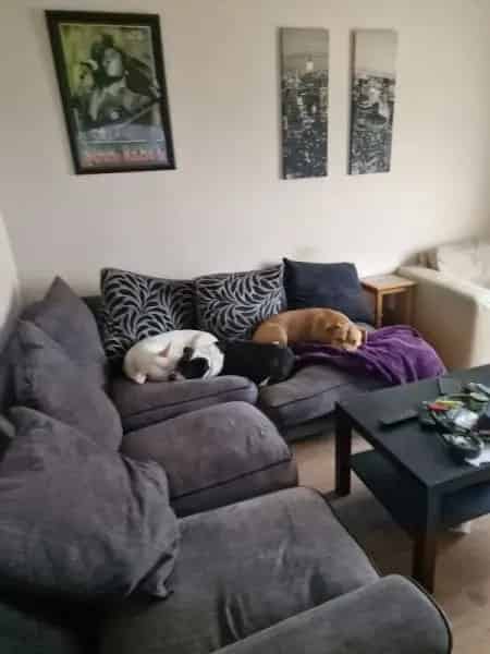 Flat For Rent , Birmingham, England