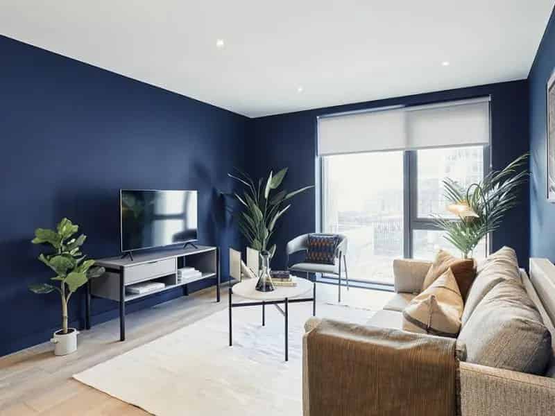 1 bedroom apartment to rent