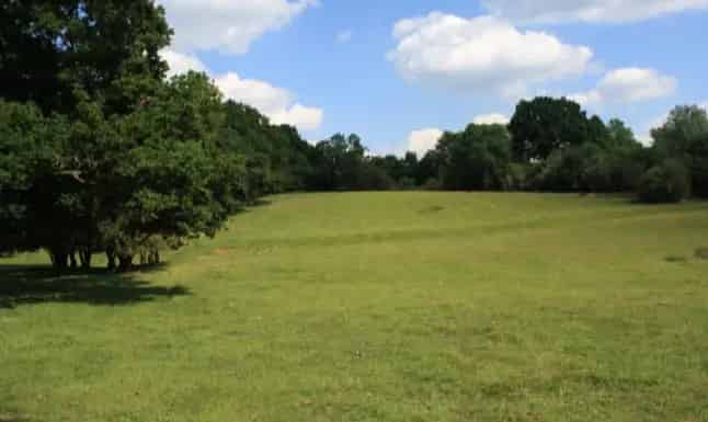 21.47 Acres Agricultural Equestrian Land Prestbury