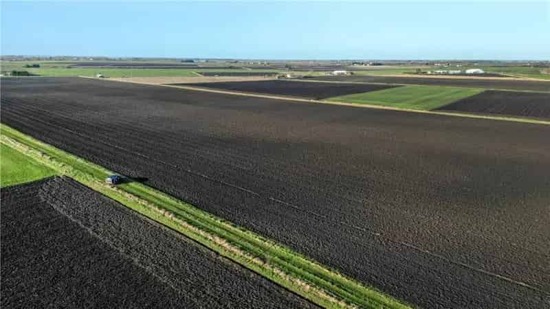 Ely Grade 1 Arable Land Investment 76.97 Acres