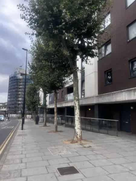 Flat For Rent , London, England