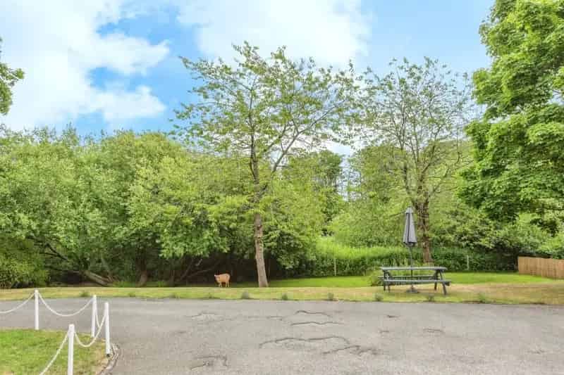 Detached Home in Thetford - 4 Beds, Modern Kitchen, 2 Gardens