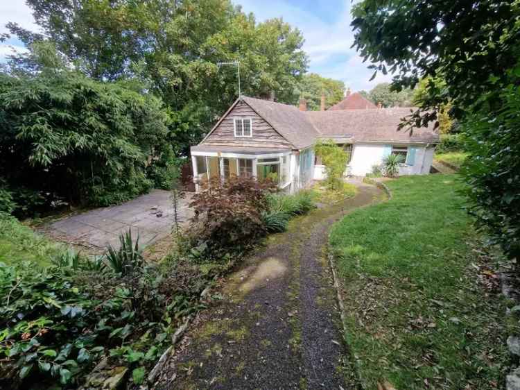 3 Bedroom Detached Bungalow Bournemouth