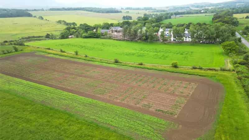 Lot 4 Haughhead Farm Land 563 Acres Arable Pasture Grade 42