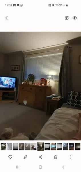 2 Bedroom Maisonette Near M11 with Parking Pets Allowed