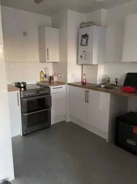 One Bed New Build Apartment with Balcony Pets Permitted Near Elizabeth Line