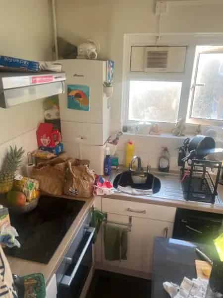 Pet-Friendly Studio Flat near Stockwell Tube