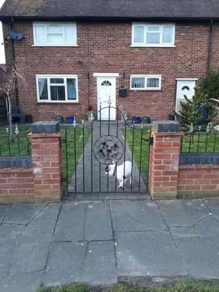 3 Bed Semi Detached House with Garden and Utility Room