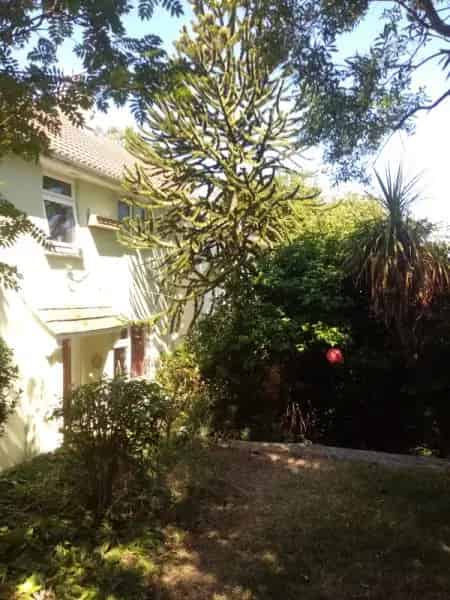 Semi Detached House Lovely Garden