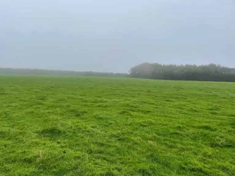 33-Acre Pasture in Exmoor National Park