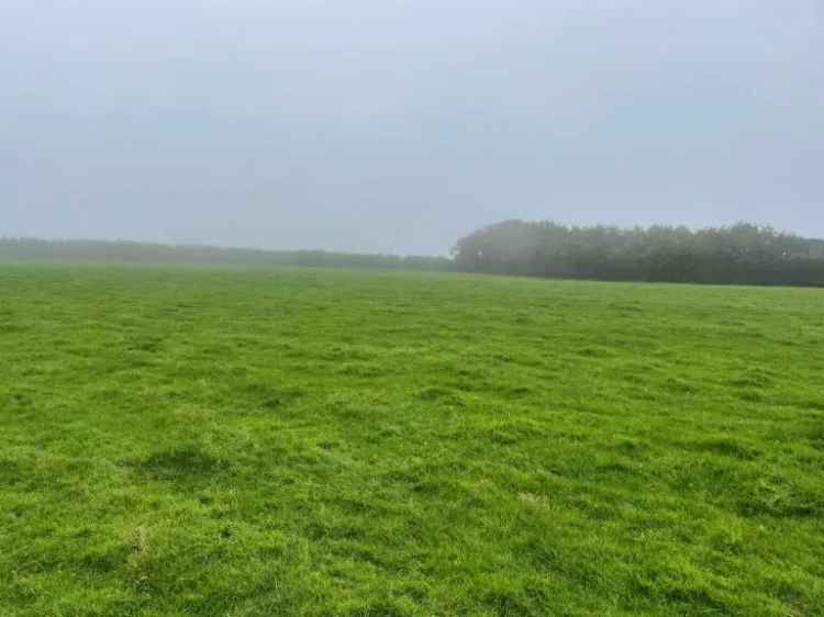 33-Acre Pasture in Exmoor National Park