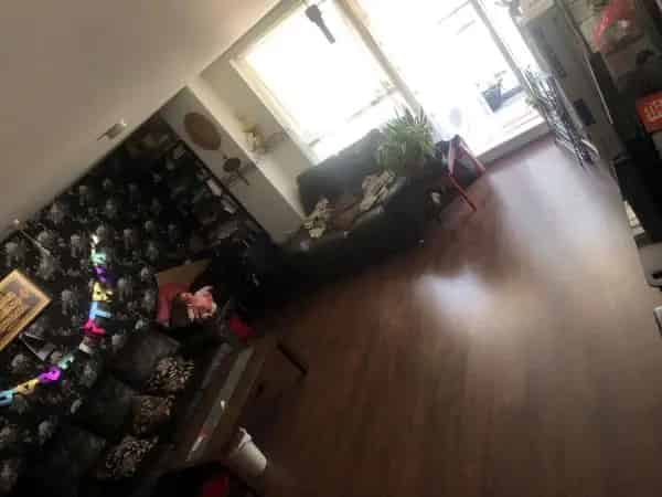 Flat For Rent , London, England