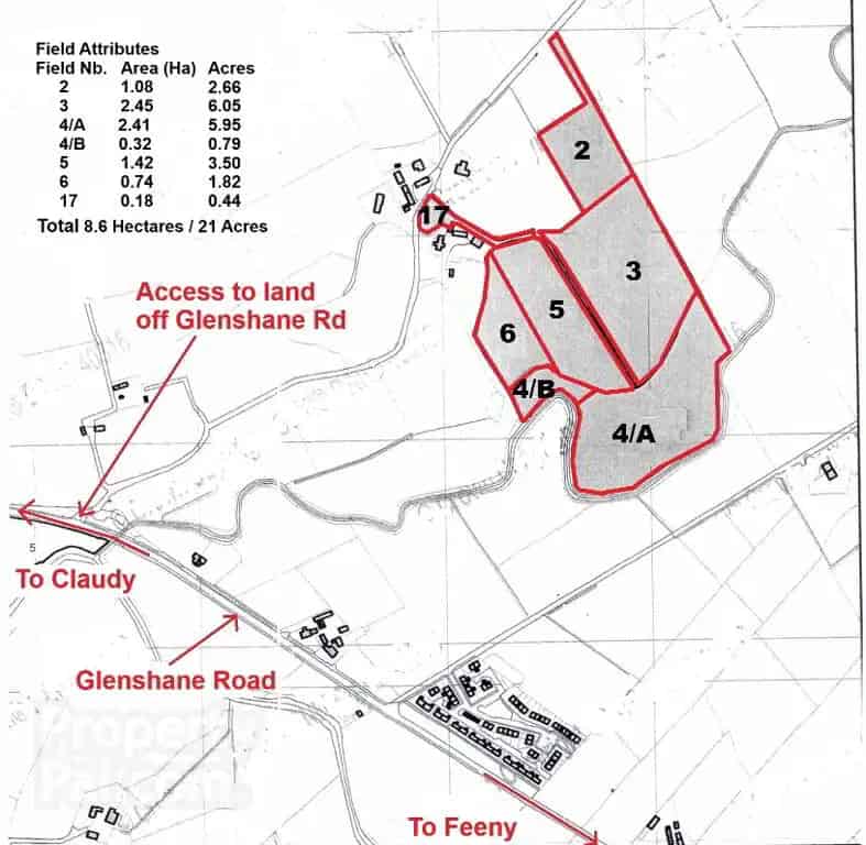 21 Acres of Land near Claudy with Building Potential