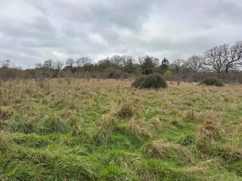 36 Acres of Mixed Woodland and Pasture for Sale