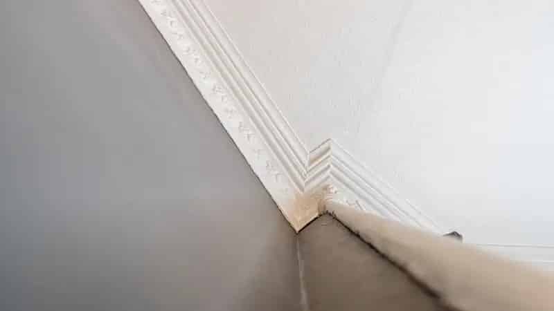 Flat For Sale , 21, Skirving Street, Glasgow, Scotland