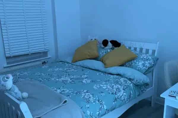Spacious Flat Near Angel High Road - Secure Tenancy
