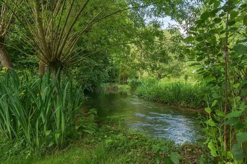 5 Bedroom Detached House For Sale in Monxton