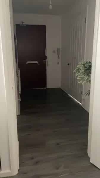 Four Flats Near Stations & Supermarkets - Modern Interior