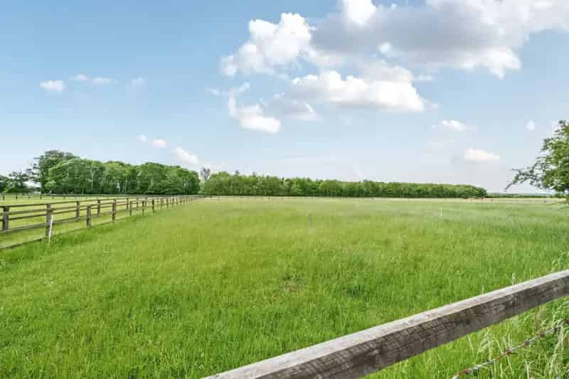 3 Bedroom House To Rent Available June 28 2025