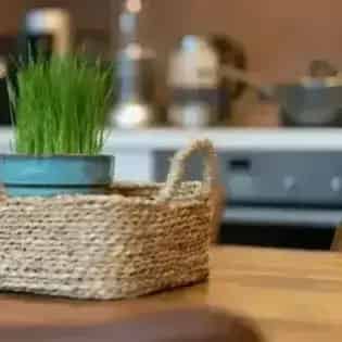 2 rooms house of 187 m² in Manchester