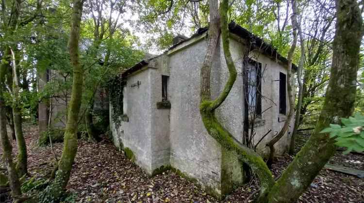 Semi-Detached Ruin Cottages and Land