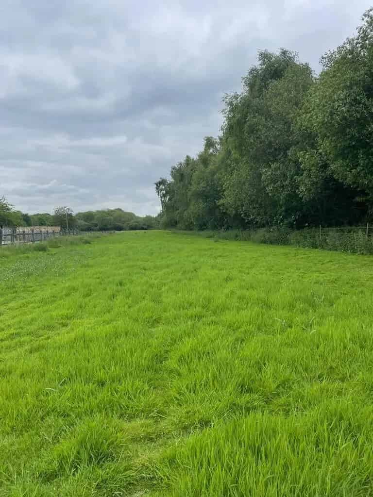 19.02 Acres Land for Sale Gunness - Grass Paddock Woodland