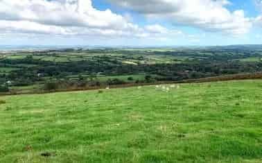 14.69 Acres Grazing Land Dartmoor National Park Common Grazing Rights Bridleway Access