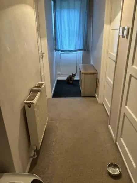 Ground Floor Accessible Flat Near Town Center