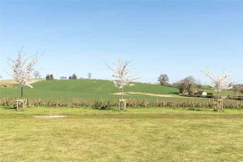 4 Bed Barn Conversion with Annexe - Idyllic Countryside Views