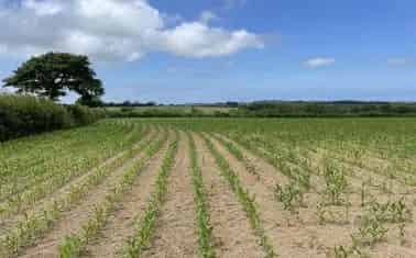 Farmland for Sale 32.13 Acres with Woodland and Stream