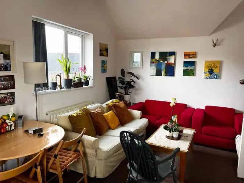 1 bedroom apartment to rent