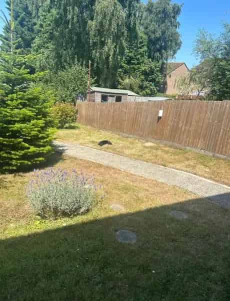 Large One Bed Maisonette with Private Garden and Driveway