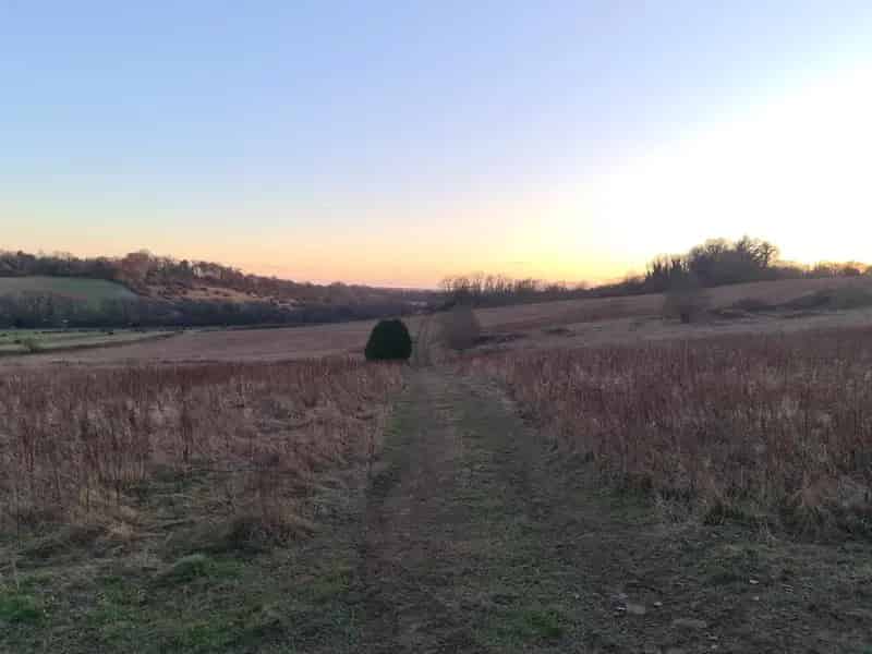 Agricultural Land for Sale in Horndean Havant