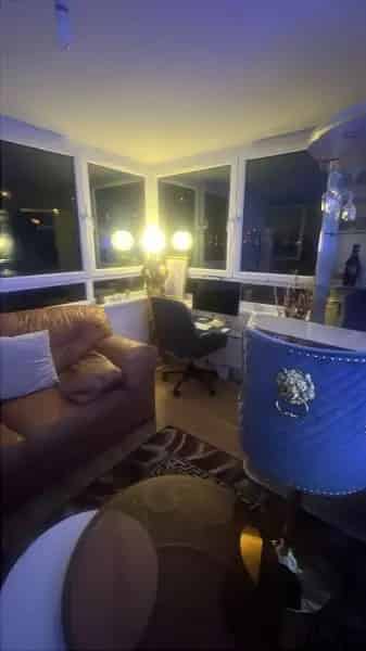 Spacious Flat near Battersea Bridge with London Views