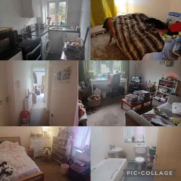  For Rent in Basingstoke and Deane, England