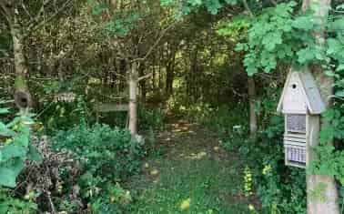 Dartmoor Woodland and Pasture Land for Sale