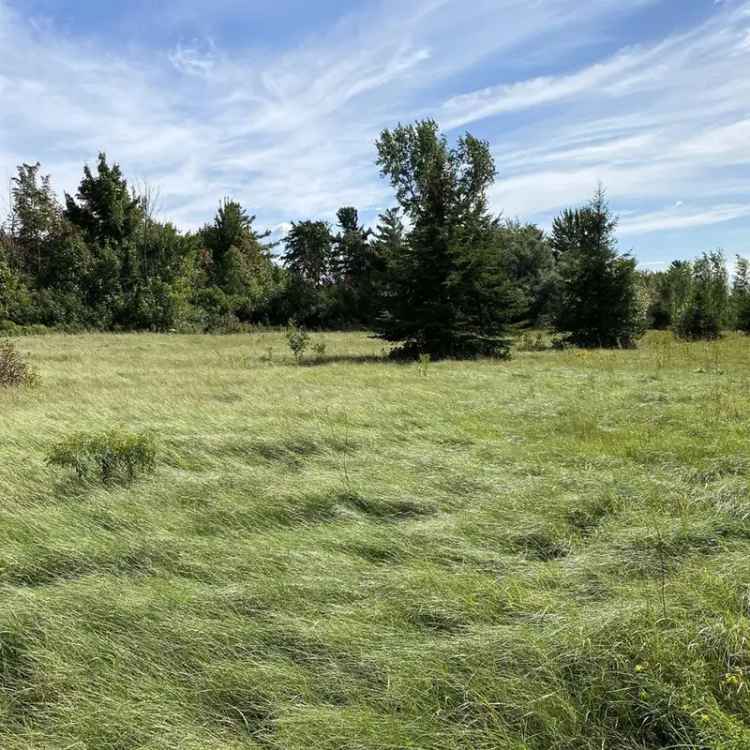 Large Lot for Sale Near St-Hyacinthe