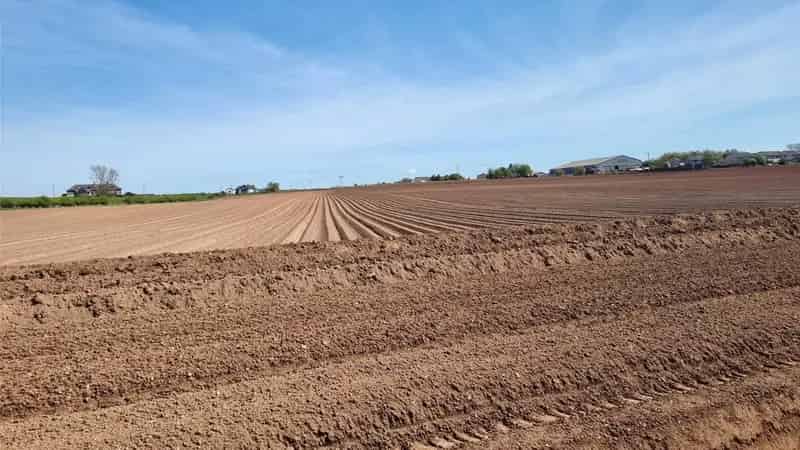 248.19 Acres Agricultural Land for Sale
