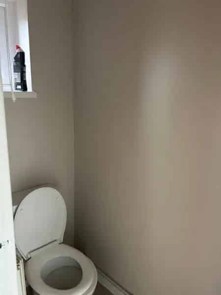 Three Bedroom House with Shed and Downstairs Toilet