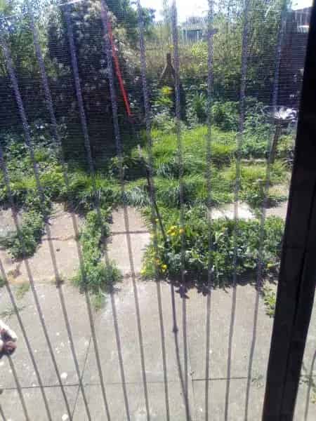 1 Bed Cozy Bungalow with Garden Parking