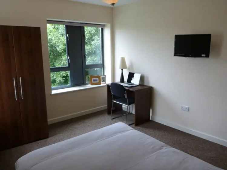 3 bedroom flat to rent