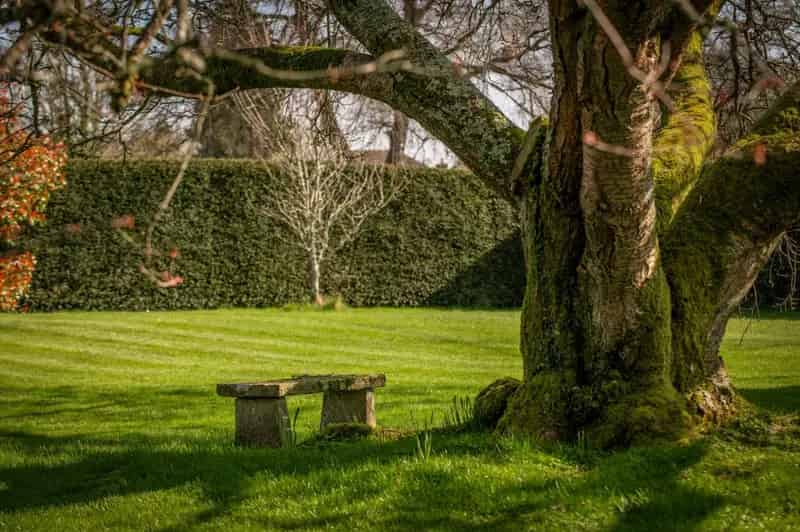 4 Bedroom House for Sale in Shalden