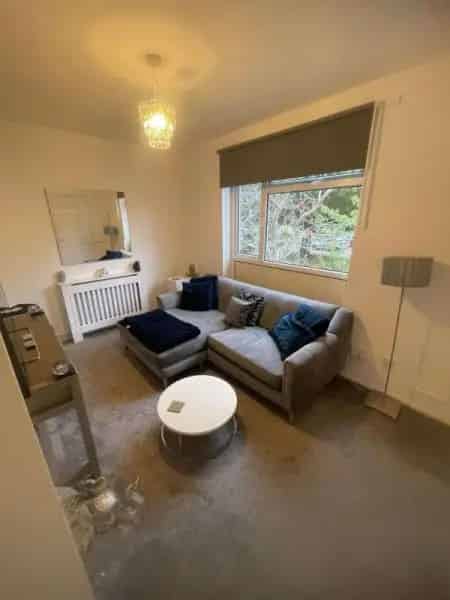 Freshly Decorated Home with New Flooring