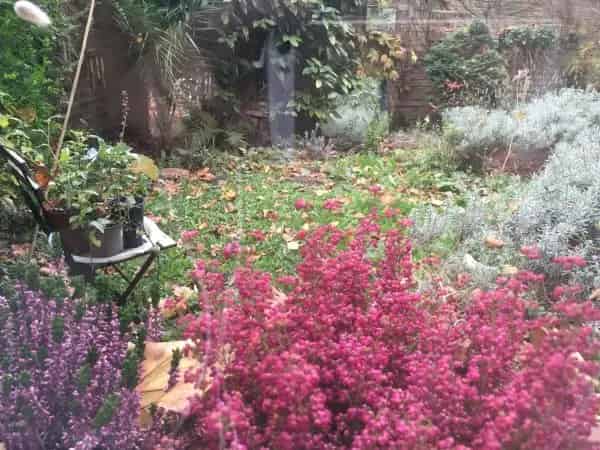 Large 1 Bedroom Flat with Private Garden - Pets Allowed