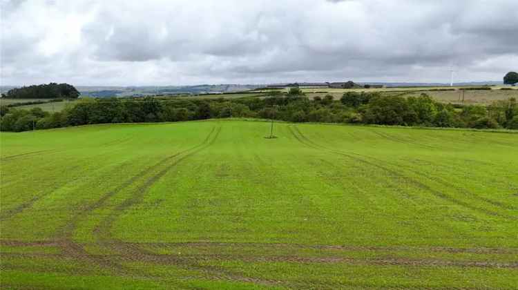 Lot 3 Canderside Farm 14.08 Ha Farmland