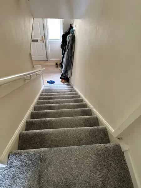 New Bathroom, Carpet, Laminate Flooring