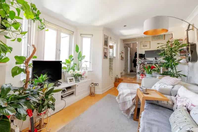 Chiswick Lane Property: Peaceful Setting near Amenities and Tube